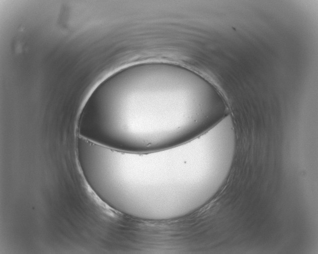 X0000067481532200604150003