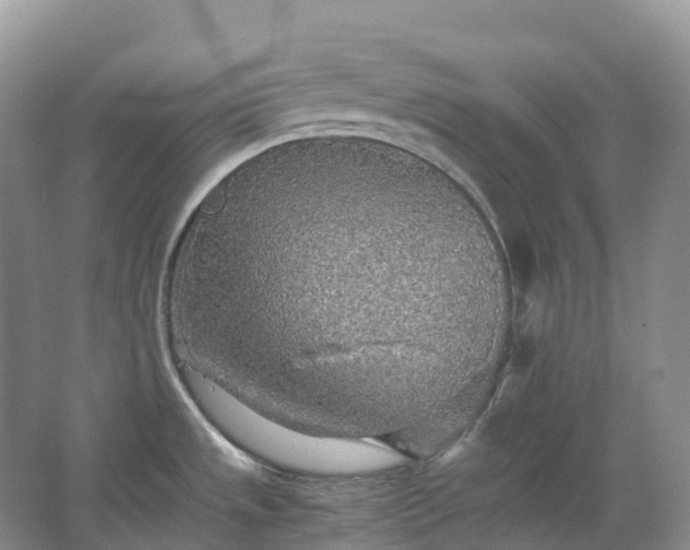 X0000067481533200604150003