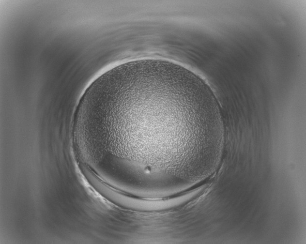 X0000067481534200604150003