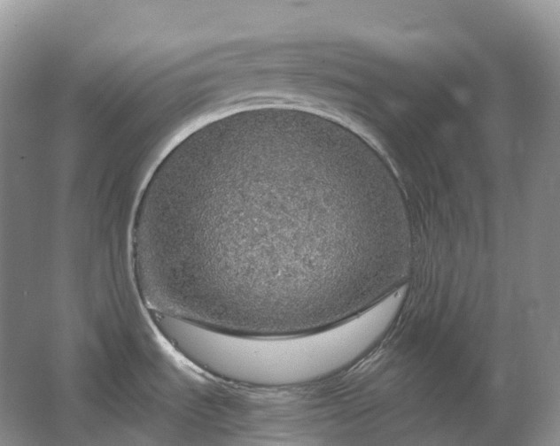 X0000067481535200604150003