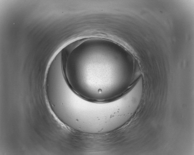 X0000067481536200604150003