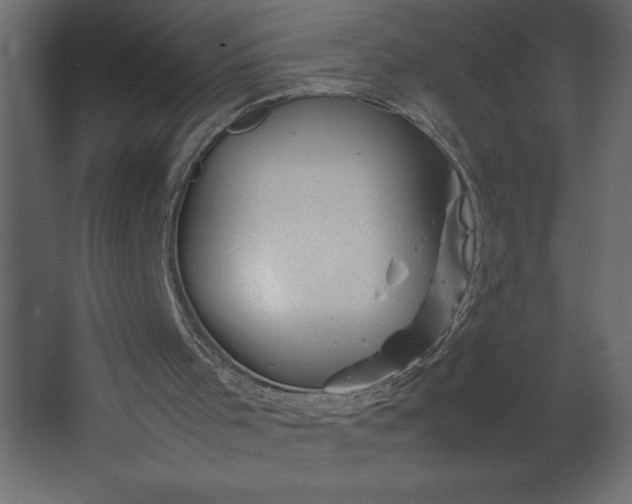 X0000067480001200604211645