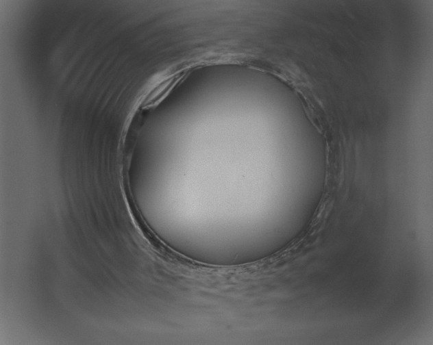 X0000067480003200604211645