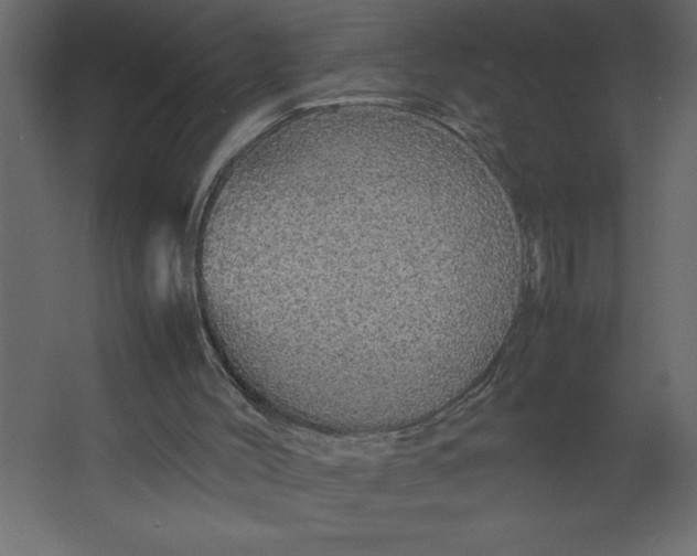 X0000067480004200604211645