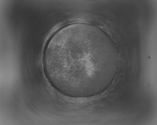 X0000067480006200604211645