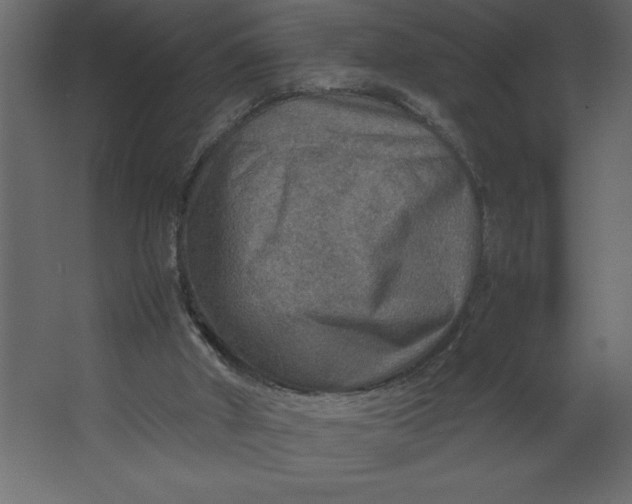 X0000067480010200604211645