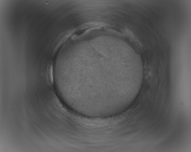 X0000067480014200604211645