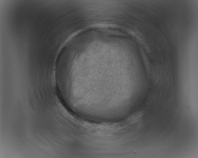 X0000067480016200604211645