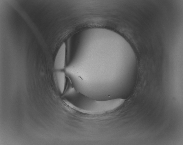 X0000067480017200604211645