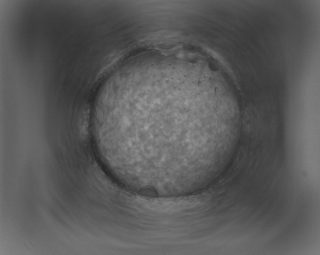 X0000067480018200604211645