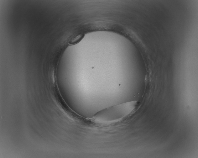 X0000067480021200604211645