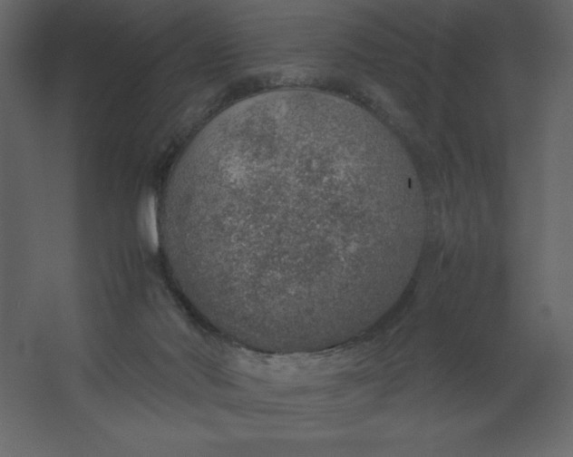 X0000067480022200604211645