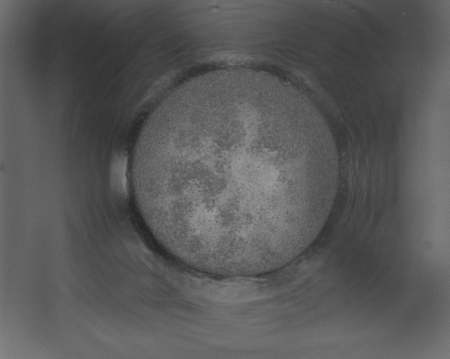 X0000067480024200604211645