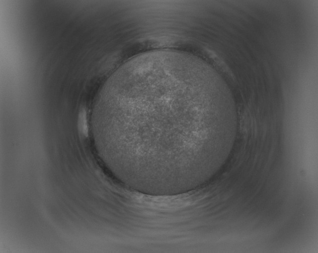 X0000067480026200604211645