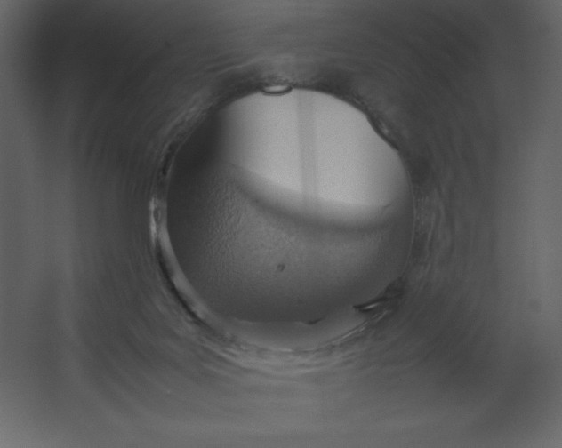 X0000067480027200604211645