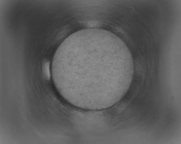 X0000067480028200604211645