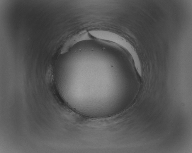 X0000067480029200604211645