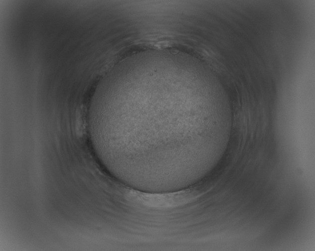 X0000067480030200604211644