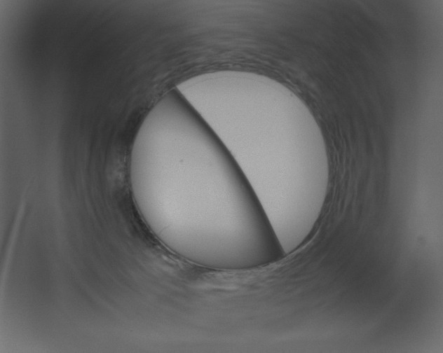 X0000067480033200604211644