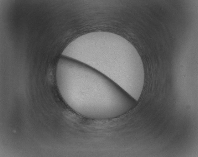 X0000067480037200604211644