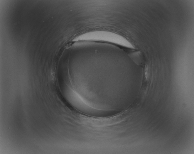 X0000067480039200604211644