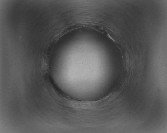 X0000067480040200604211644