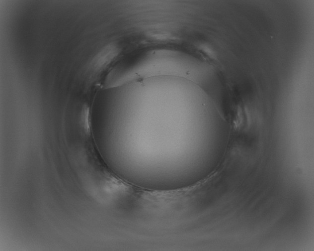 X0000067480041200604211644