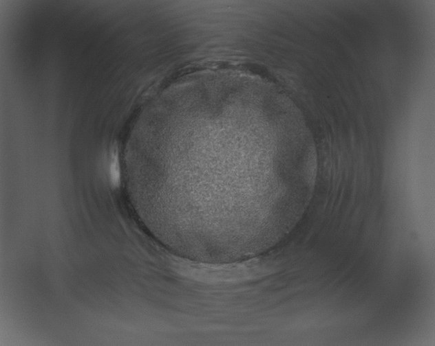 X0000067480042200604211644