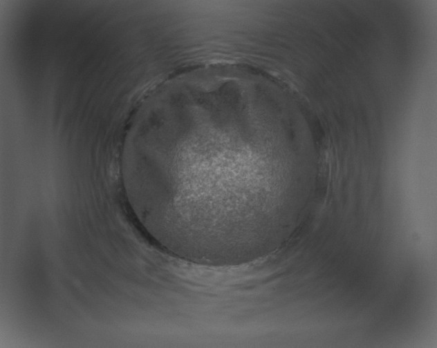 X0000067480043200604211644