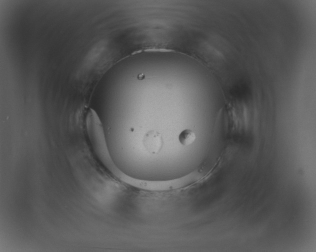 X0000067480045200604211644