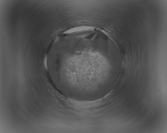 X0000067480047200604211644