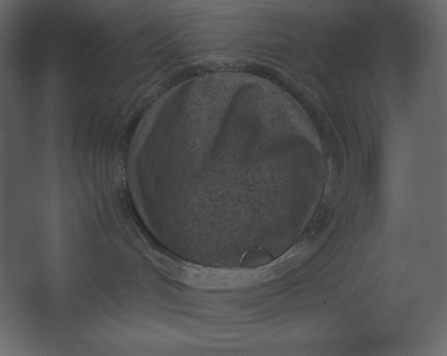 X0000067480048200604211644