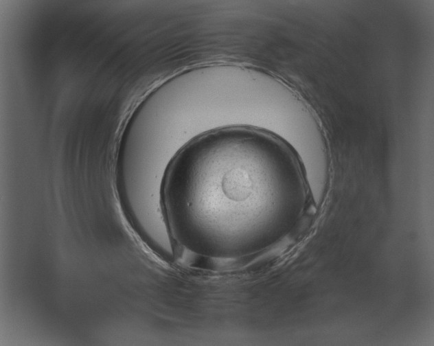 X0000067480049200604211643