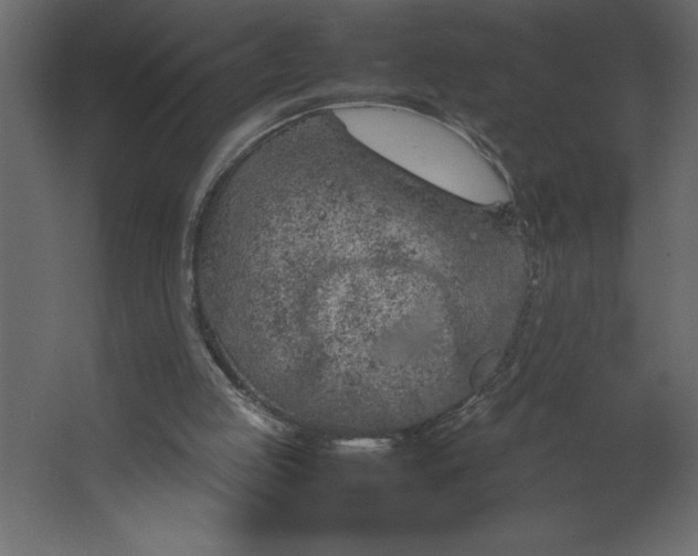 X0000067480053200604211643