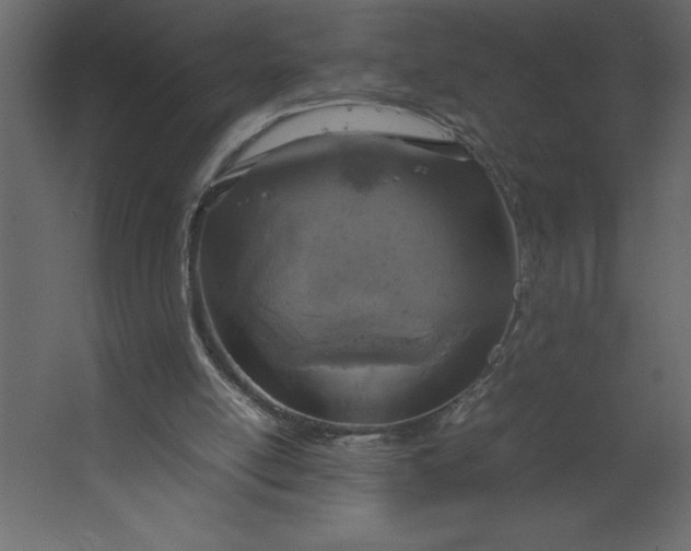 X0000067480054200604211643