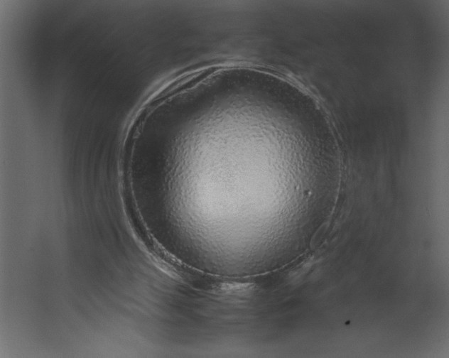 X0000067480055200604211643