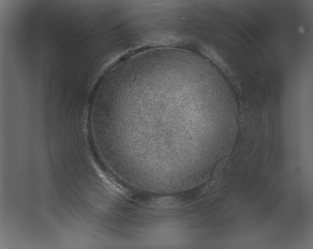 X0000067480058200604211644