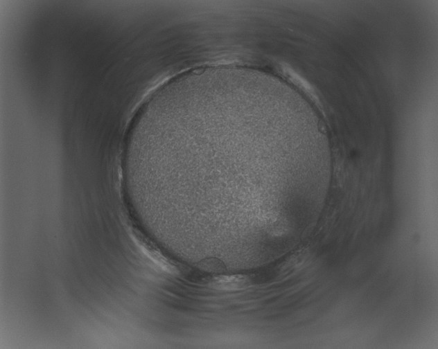 X0000067480059200604211644