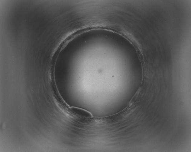 X0000067480060200604211644