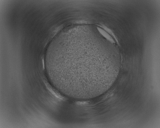 X0000067480061200604211644