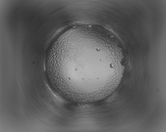 X0000067480062200604211644