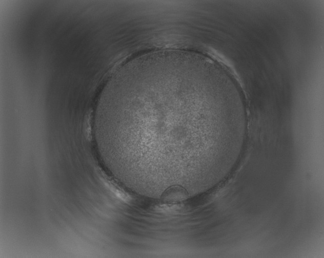 X0000067480065200604211644