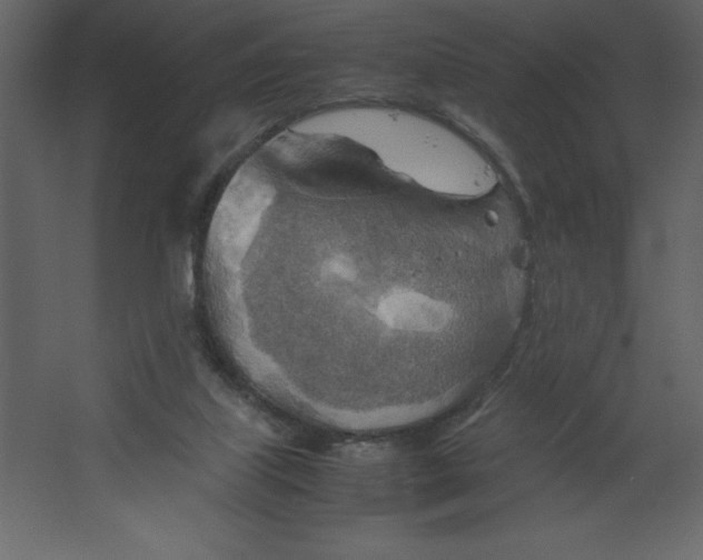 X0000067480067200604211644