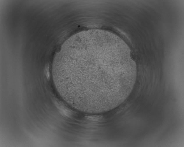 X0000067480069200604211644