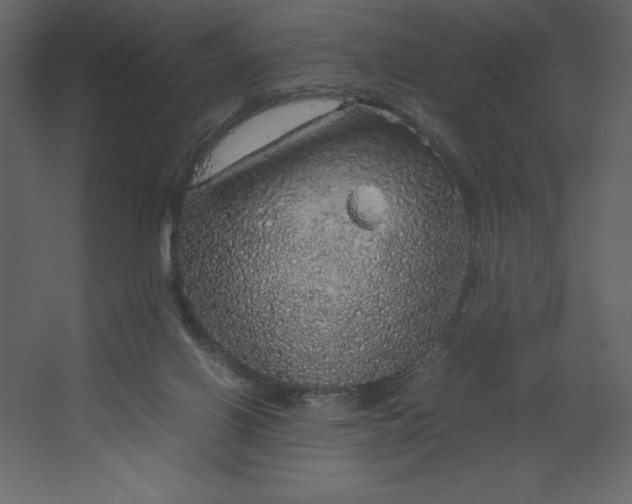 X0000067480070200604211644