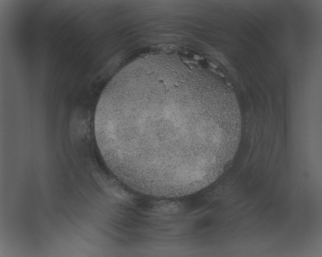 X0000067480073200604211644