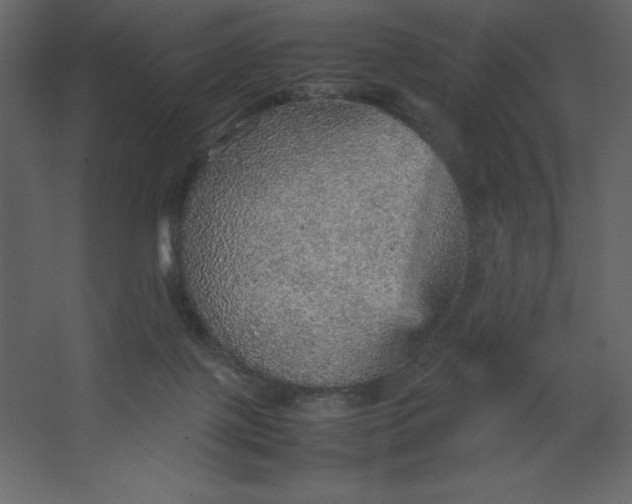 X0000067480075200604211644