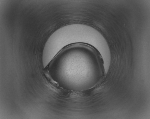 X0000067480077200604211644