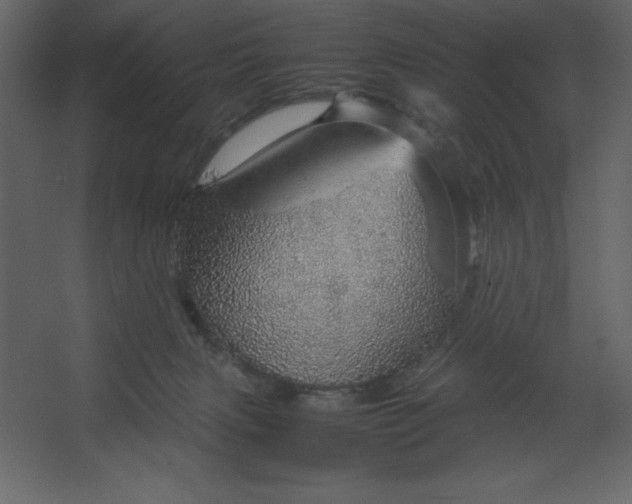 X0000067480079200604211644