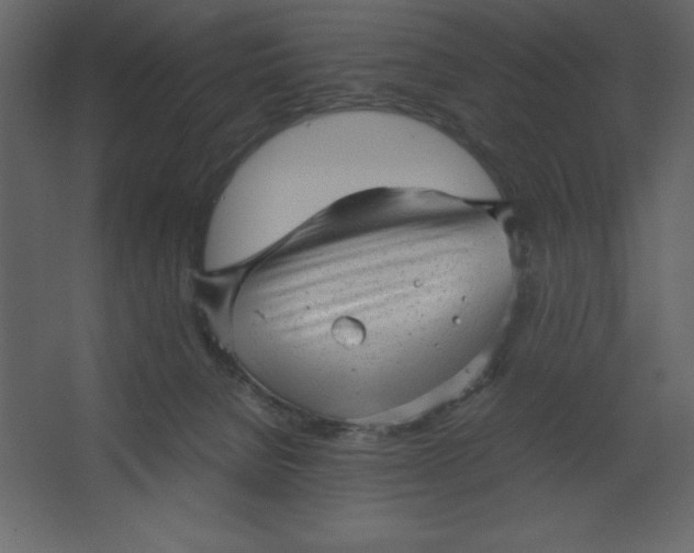 X0000067480080200604211644